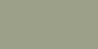 LifeColor Grey (22ml) FS 36270