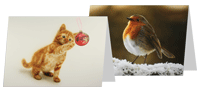 Pack of 10 Assorted Airbrush Charity Christmas Cards (A6 size): 'Kitten with Bauble' / 'Robin in Snow' by Alexander Medwell (100% of profit £1.22 donated to Cancer Research)