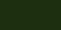 LifeColor Fixer Fluid: Gloss Dirty Green (22ml)