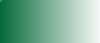 LifeColor Tensocrom Grass (22ml)