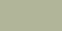 LifeColor Light Gull Grey (22ml) FS 36440