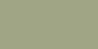 LifeColor Dark Gull Grey (22ml) FS 36231