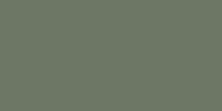 LifeColor Neutral Grey 43 (22ml) FS 36173