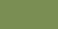 LifeColor Mimetic Green 1 (22ml) FS 34258