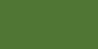LifeColor Green (22ml) FS 34094