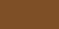 LifeColor Dark Brown (22ml) FS 30108