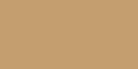LifeColor Medium Tan (22ml)