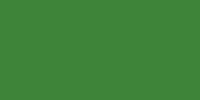 LifeColor Interior Green (22ml) FS 24110