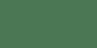 Lifecolor Satin IJN Camo Green Type 2 (22ml)