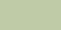 Lifecolor Satin IJN Camo Green Type 22 (22ml)