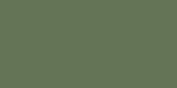 LifeColor Dirty Green (22ml) FS 34148