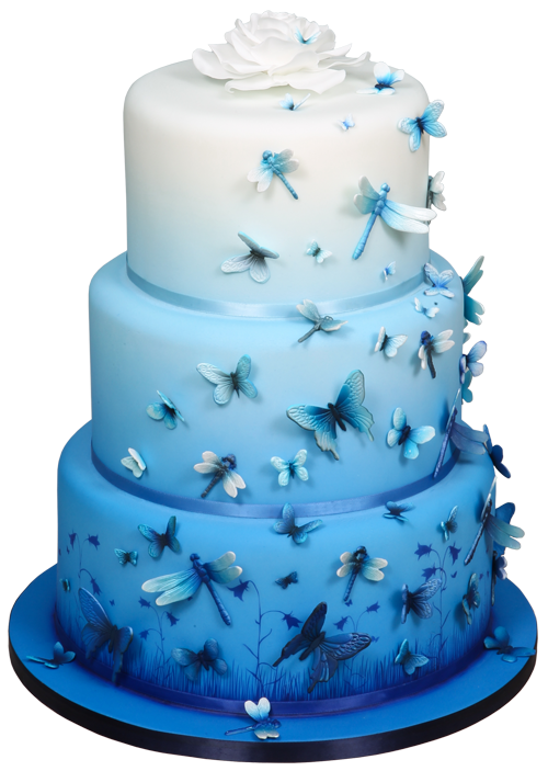 Can You Airbrush Buttercream?  Airbrush cake, Airbrush cake designs, Cake  decorating airbrush