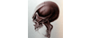 Airbrushing Realistic Skulls - Stuart Forster (TBA)